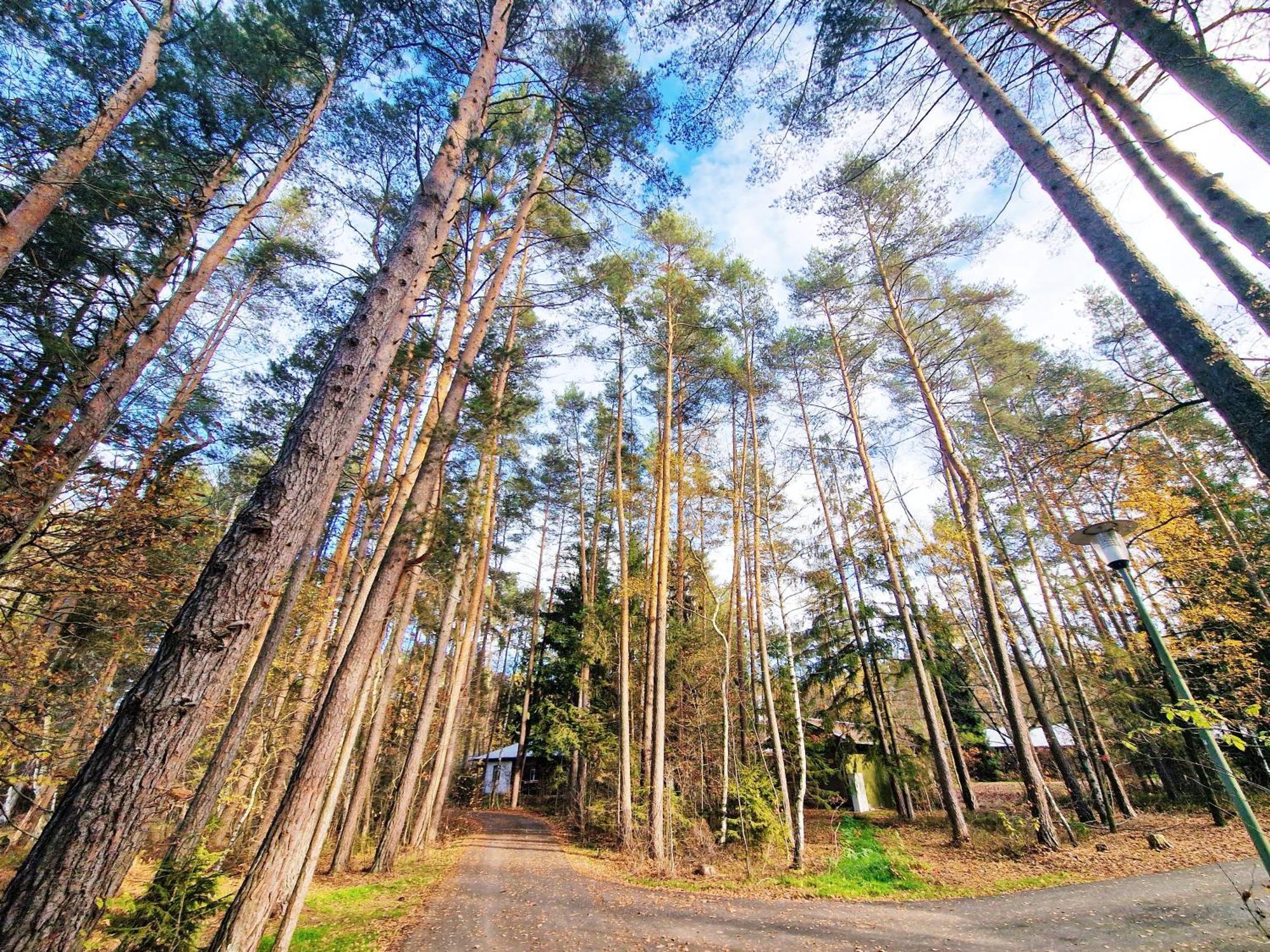 Bungalow Direkt Am See, Mit Eigenem Boot Родинг Экстерьер фото