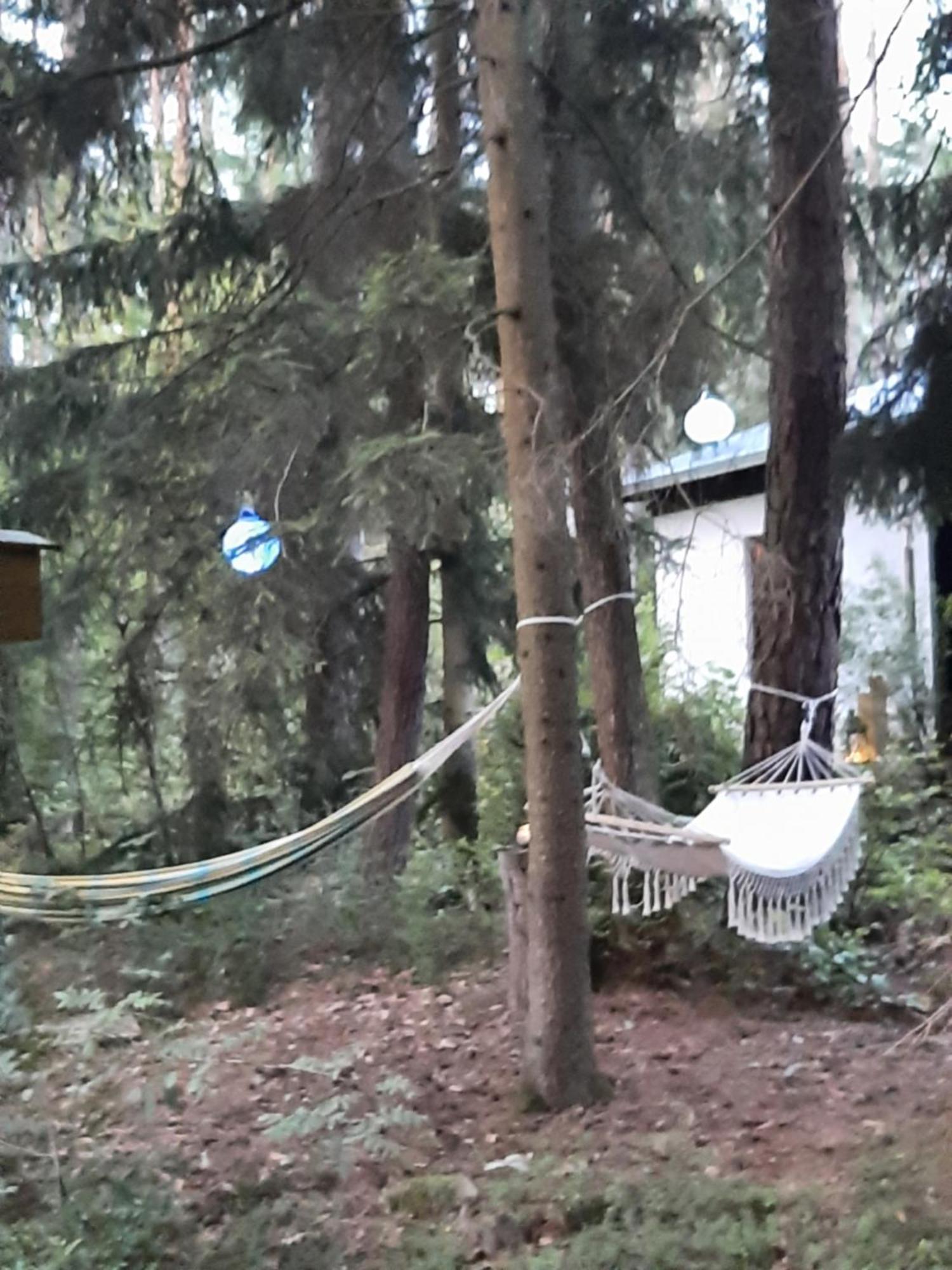 Bungalow Direkt Am See, Mit Eigenem Boot Родинг Экстерьер фото